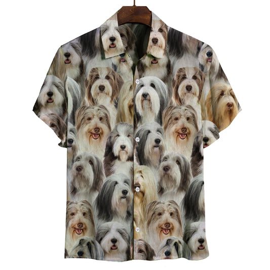 You Will Have A Bunch Of Bearded Collies - Shirt V1