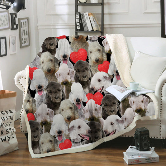 You Will Have A Bunch Of Bedlington Terriers - Blanket V1