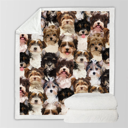 Biewer Terriers - Blanket V1
