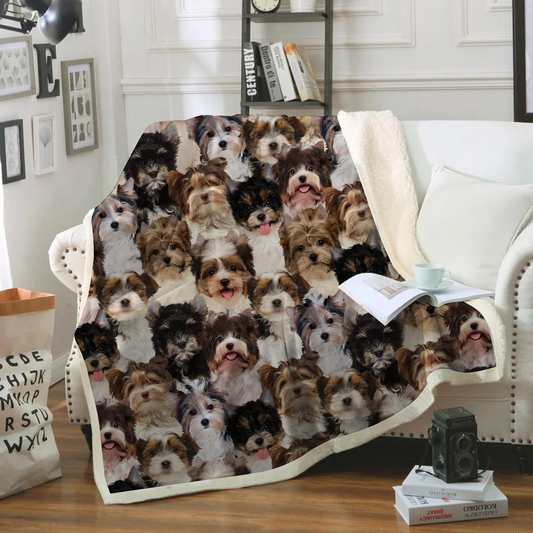 You Will Have A Bunch Of Biewer Terriers - Blanket V1