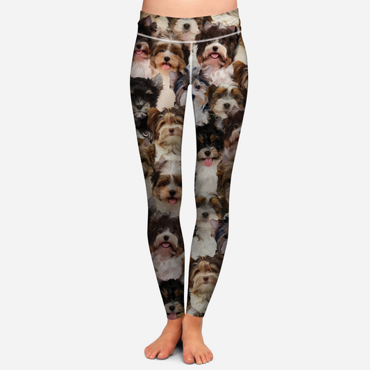 You Will Have A Bunch Of Biewer Terriers - Leggings V1