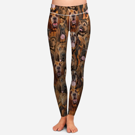 You Will Have A Bunch Of Bloodhounds - Leggings V1