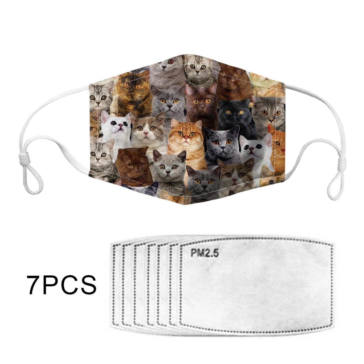 You Will Have A Bunch Of British Shorthair Cats F-Mask
