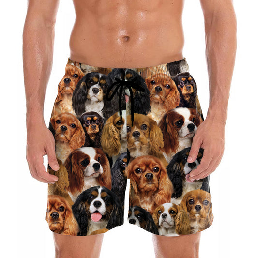 You Will Have A Bunch Of Cavalier King Charles Spaniels - Shorts V1