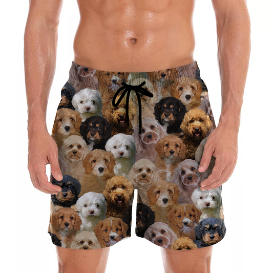 You Will Have A Bunch Of Cavapoos - Shorts V1