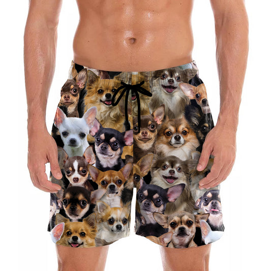 You Will Have A Bunch Of Chihuahuas - Shorts V1