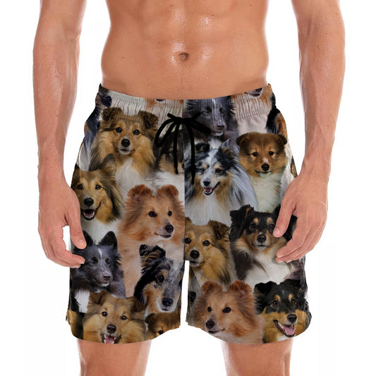 You Will Have A Bunch Of Shetland Sheepdogs - Shorts V1