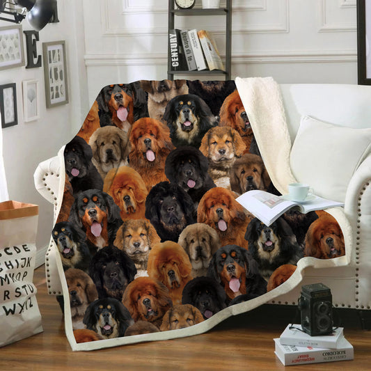 You Will Have A Bunch Of Tibetan Mastiffs - Blanket V1
