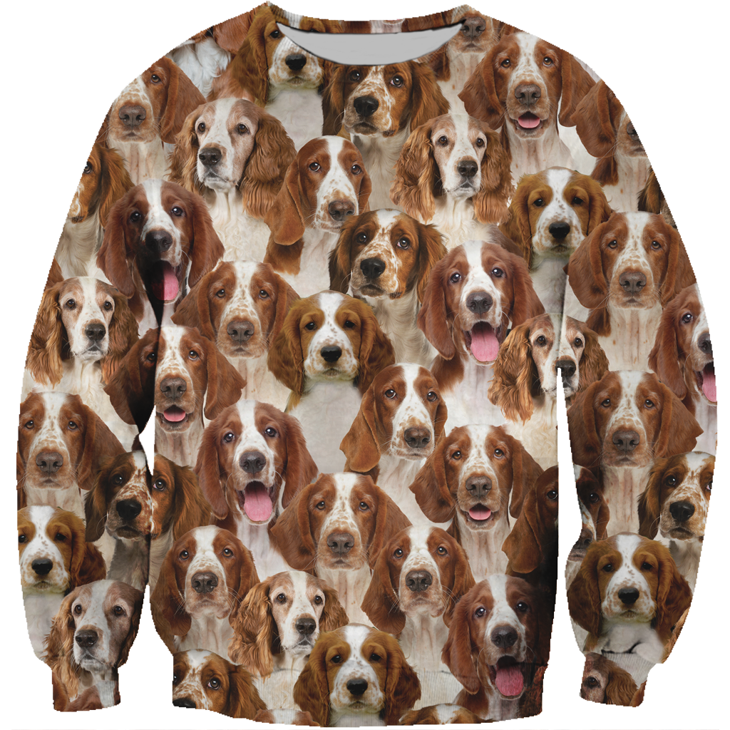 You Will Have A Bunch Of Welsh Springer Spaniels - Sweatshirt V1
