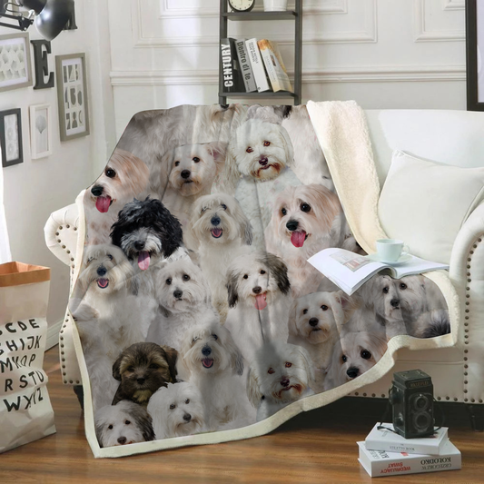 You Will Have A Bunch Of Coton De Tulears - Blanket V1