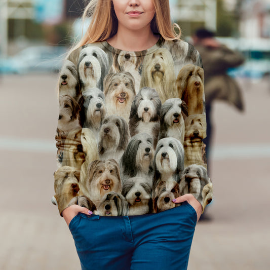 You Will Have A Bunch Of Bearded Collies - Sweatshirt V1