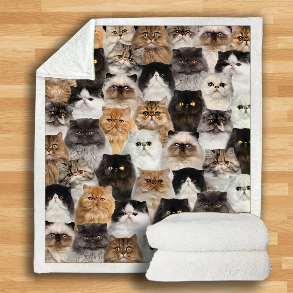 Persian Cats - Blanket V1