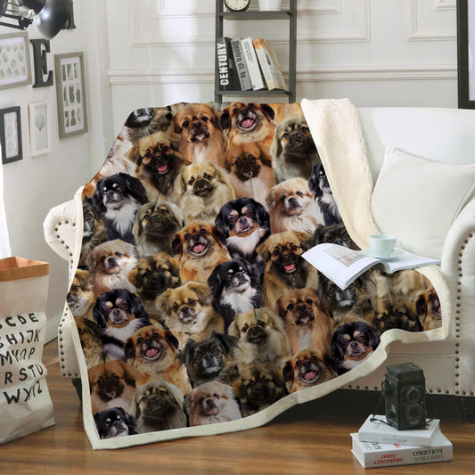 You Will Have A Bunch Of Tibetan Spaniels - Blanket V1