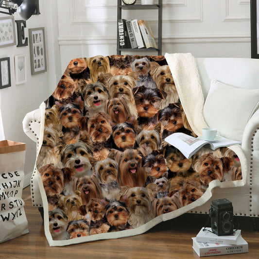 You Will Have A Bunch Of Yorkshire Terriers - Blanket V1