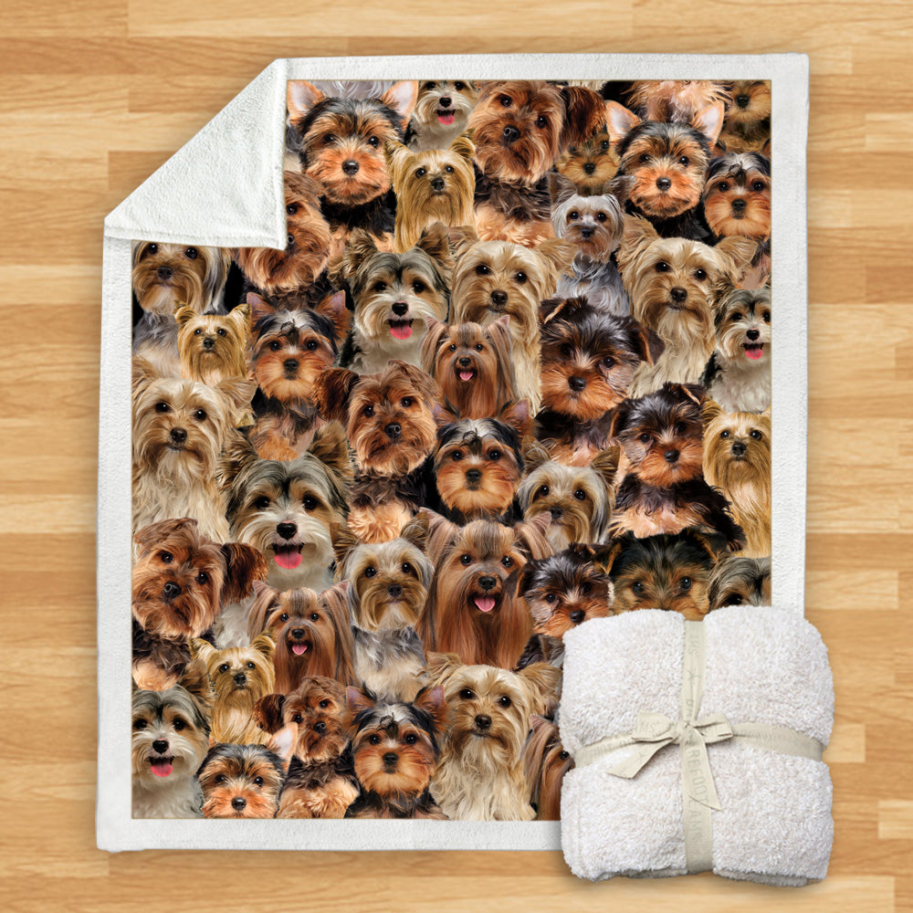 Blanket - Yorkshire Terriers