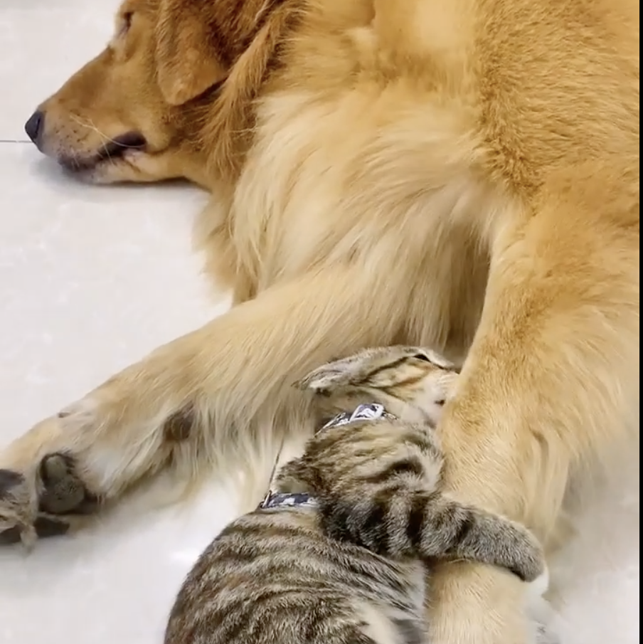 Don't let me go!