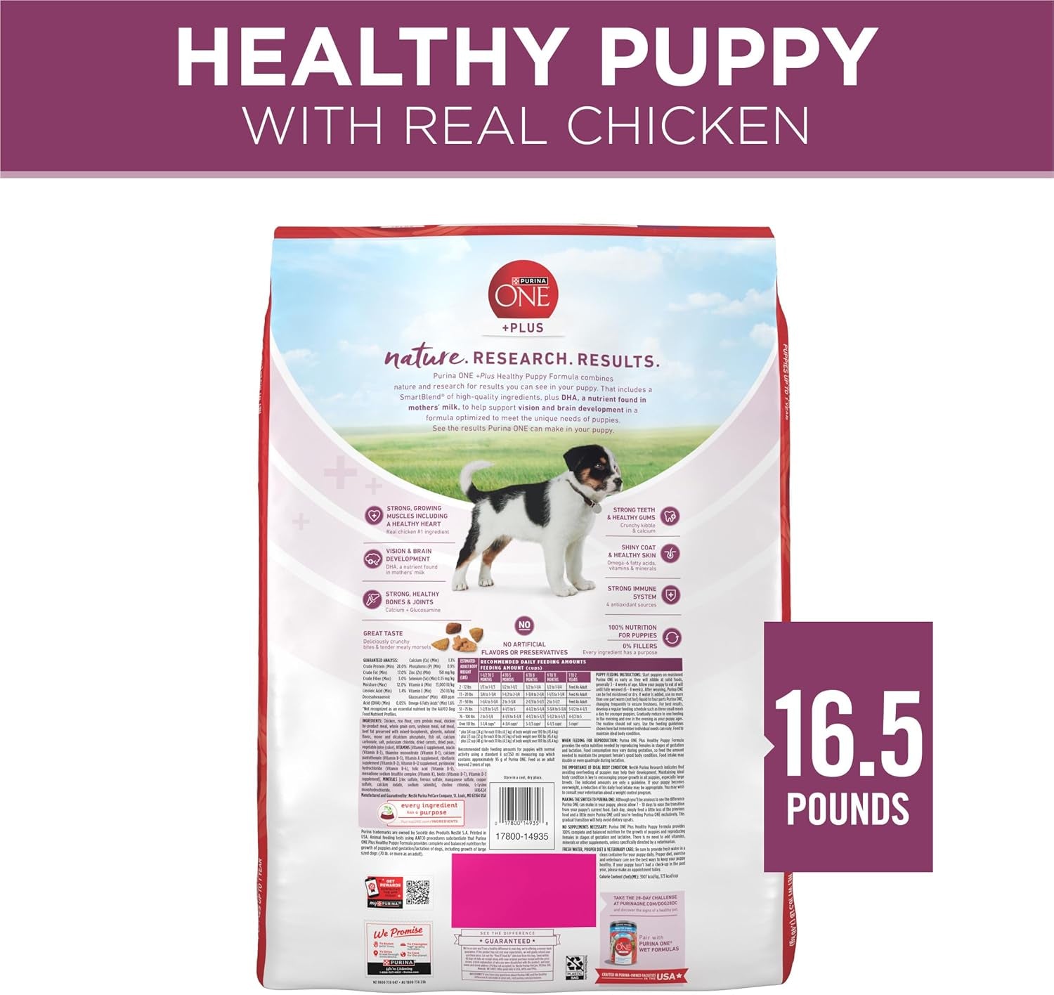 Purina ONE plus Healthy Puppy Formula High Protein Natural Dry Puppy Food with Added Vitamins, Minerals and Nutrients