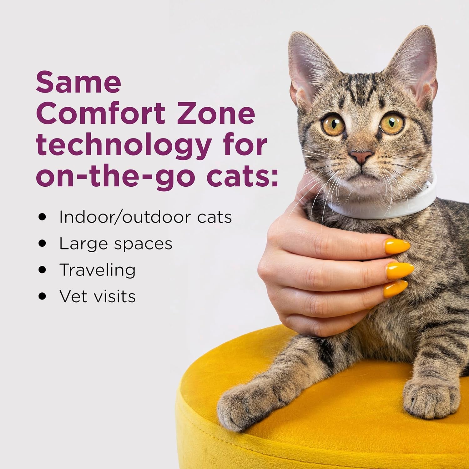 Comfort Zone Cat Calming Collar