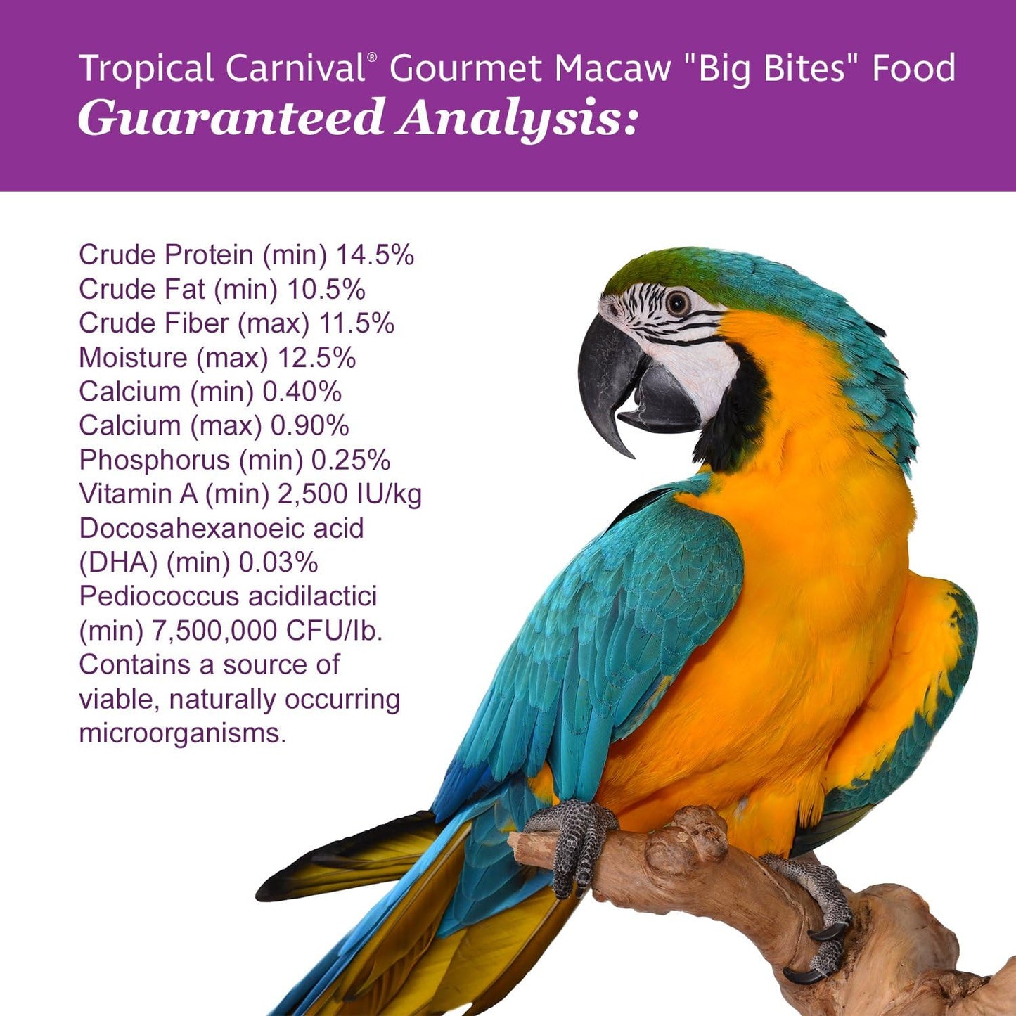 F.M. Brown'S Tropical Carnival, Gourmet Macaw Food Big Bites for Big Beaks, Vitamin-Nutrient Fortified Daily Diet with Probiotics for Digestive Health