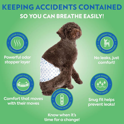 OUT! Petcare Disposable Male Dog Wraps, Safe, Male Wraps for Dogs, Pee Wraps Belly Bands for Male Dogs, Leak Proof, Wetness Indicator, Puppy and Doggie Diaper for Peeing