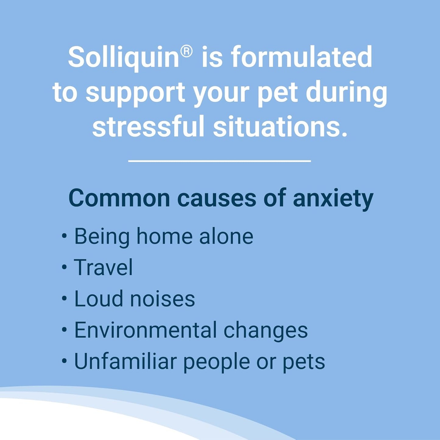 Nutramax Solliquin Calming Behavioral Health Supplement for Large Dogs - with L-Theanine, Magnolia/Phellodendron, and Whey Protein Concentrate, 75 Soft Chews