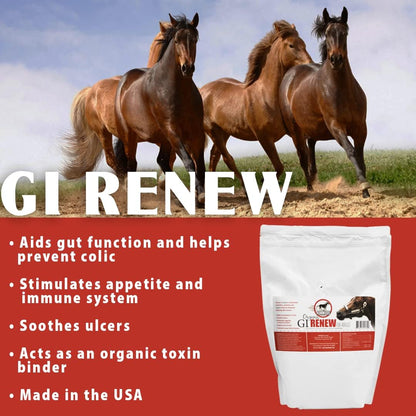 GI Renew, Probiotics for Equine, Immune and Appetite Stimulation, Prebiotics, Digestive Enzymes, Horse Supplement Providing Ulcer Relief and Organic Toxin Binder