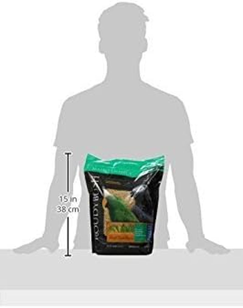 Roudybush Daily Maintenance Bird Food, Small, 10-Pound