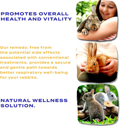 Healthy Animals 4Ever All-Natural Rabbit Gastrointestinal Stasis Treatment, Effective Homeopathic Support for GI Stasis - Promotes Healthy Digestion Rabbit Digestive Health Tablets, 300 Count