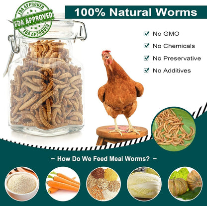 100% Natural Non-Gmo High Protein, Large Size No Moisture, Perfect for Chickens Birds Hedgehog Hamster Fish Reptile Turtles