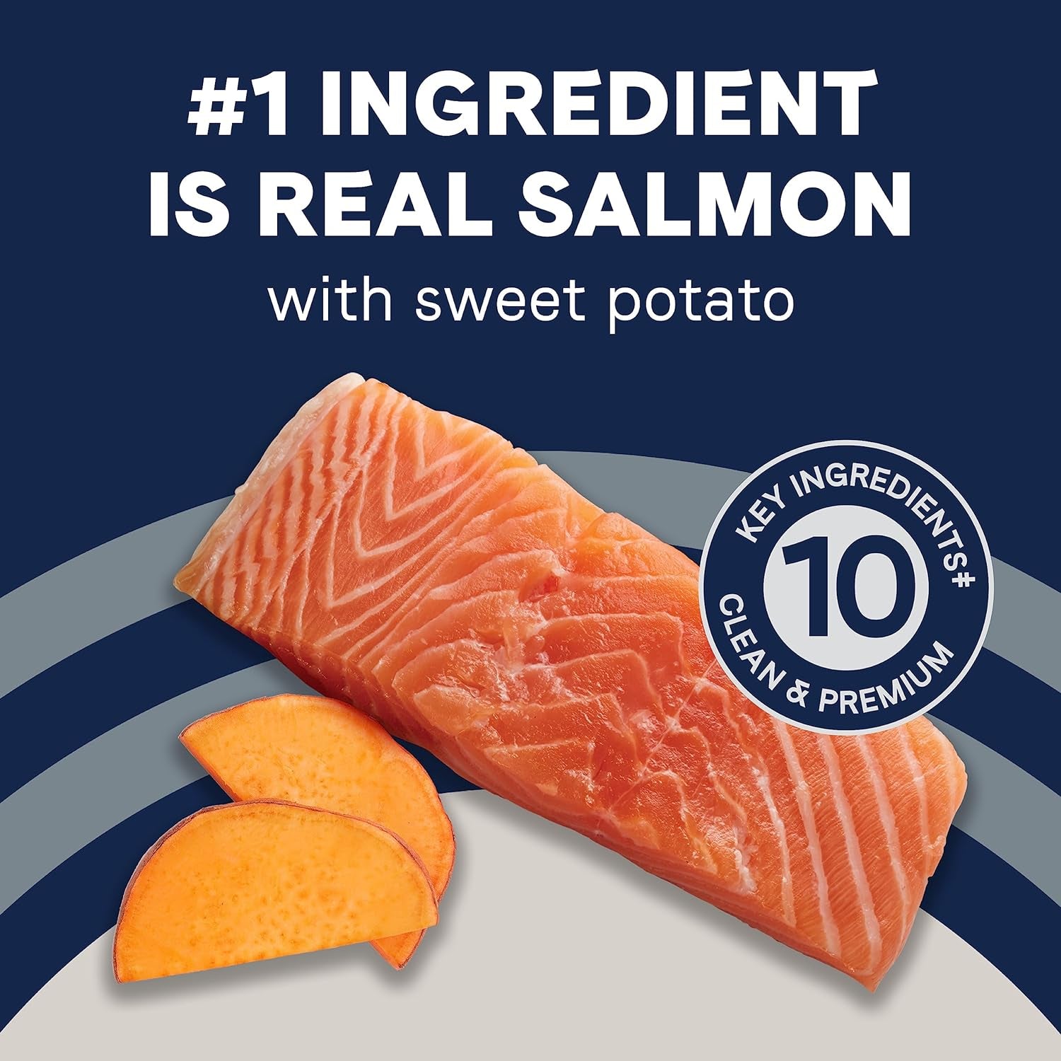 Pure Real Salmon & Sweet Potato Recipe Adult Dry Dog