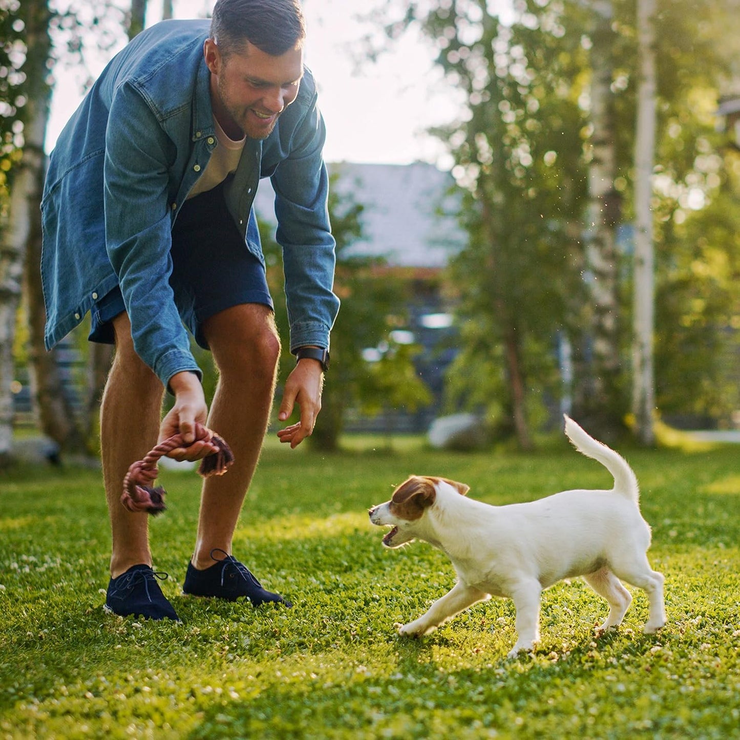 Rachael Ray Nutrish Bright Puppy Premium Natural Dry Dog Food, Real Chicken & Brown Rice Recipe