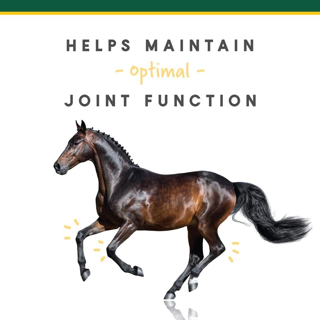 Manna Pro Corta-Flx Equine Joint Supplement, Horse Supplement for Healthy Joints, Quick & Effective Nourishment to Joints Formulated with Vitamins and Minerals