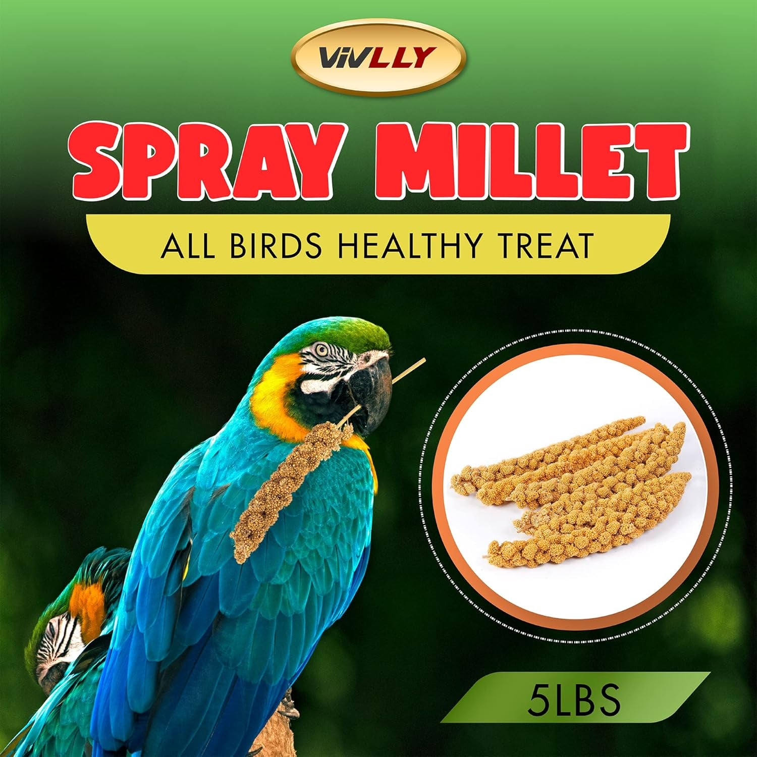 Gmo-Free Sun-Dried Spray Millet - Natural Bird Treat for Parakeets, Cockatiels, Finches, and More - Non-Gmo, Rich in Amino Acids, Convenient Storage, Delicious & Healthy Bird Snacks