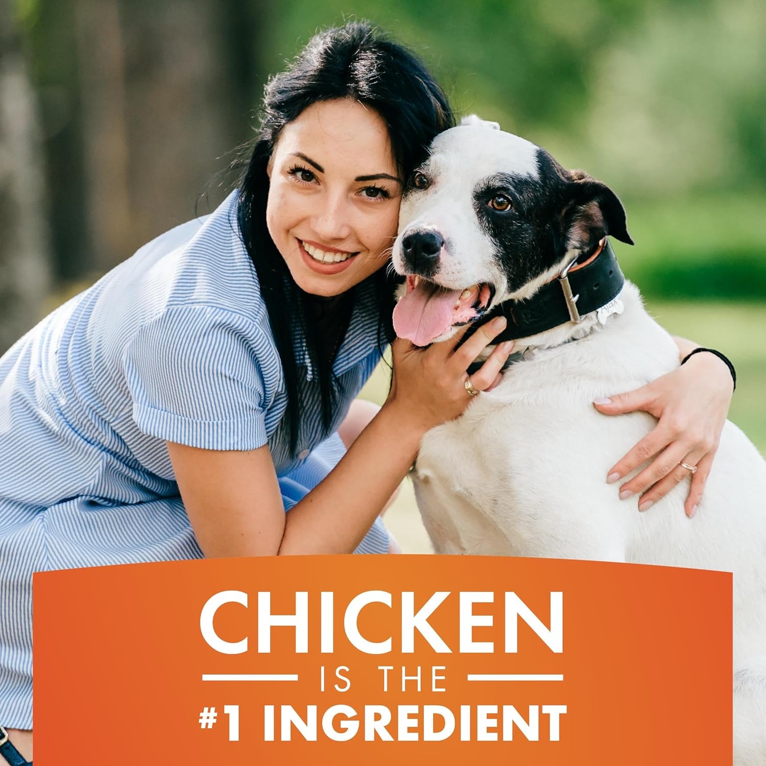 Dog Treats, Chicken Jerky for Dogs, Made with 100% Real Chicken Breast, Healthy, Easily Digestible, Long-Lasting, High Protein Dog Treat, Satisfies Dog's Urge to Chew