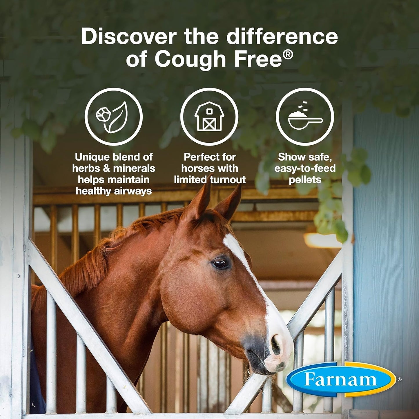 Farnam Cough Free Horse Cough Supplement Pellets, Provides Respiratory Support for Horses W/Seasonal Allergies or Stable Cough