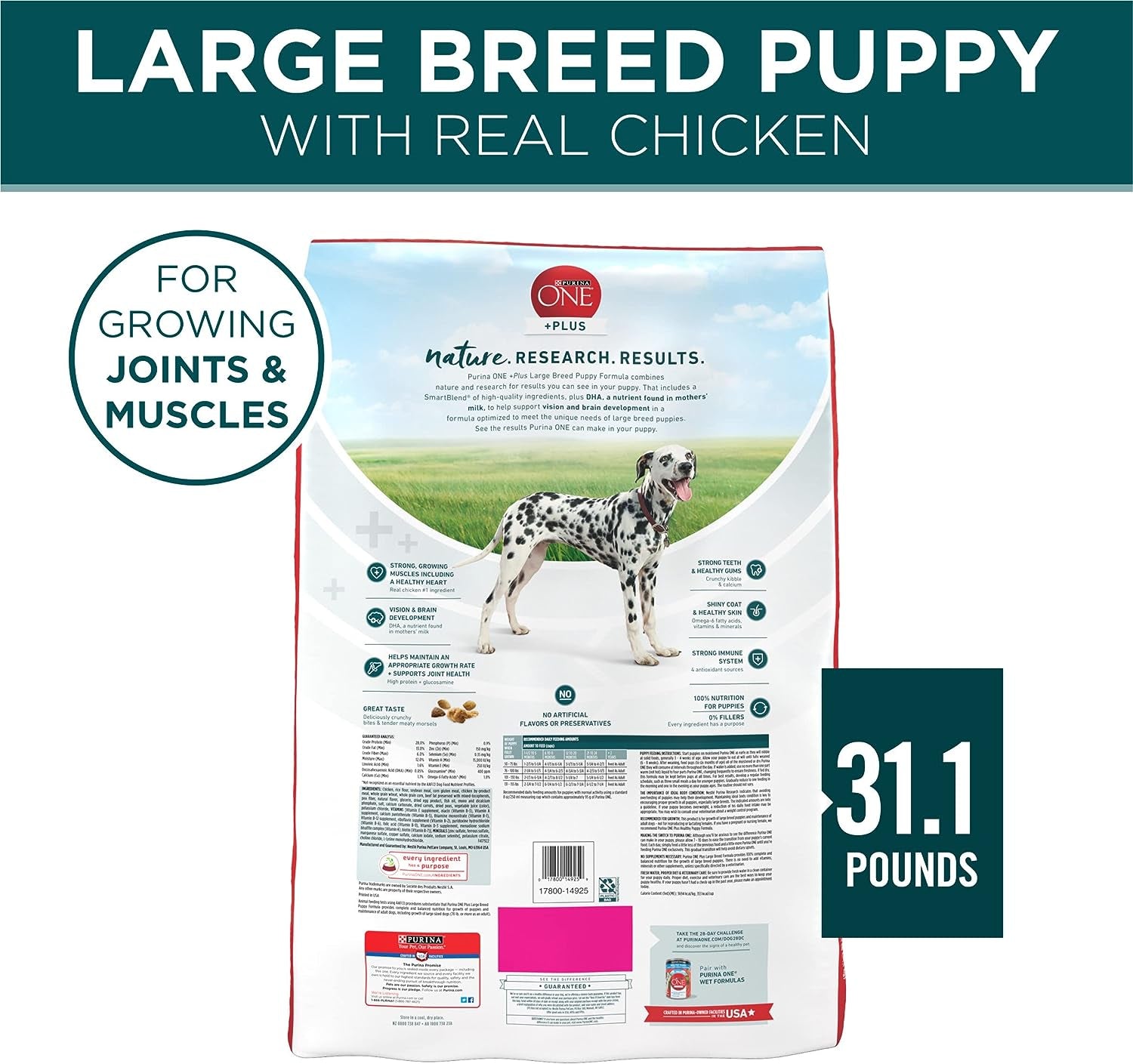 Purina ONE plus Large Breed Puppy Food Dry Formula