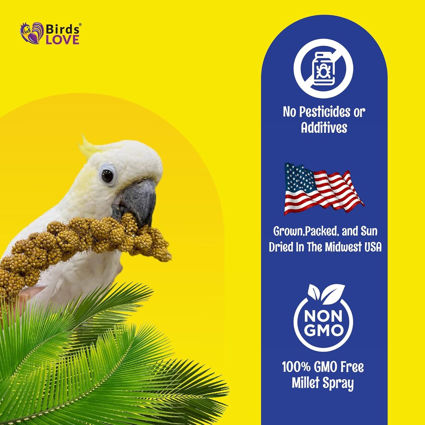 Birds LOVE Economy & Thin Special Spray Millet Gmo-Free (No Stems Only Edible Tops) for Birds Cockatiel Lovebird Parakeet Finch Canary All Parrots Healthy Treat