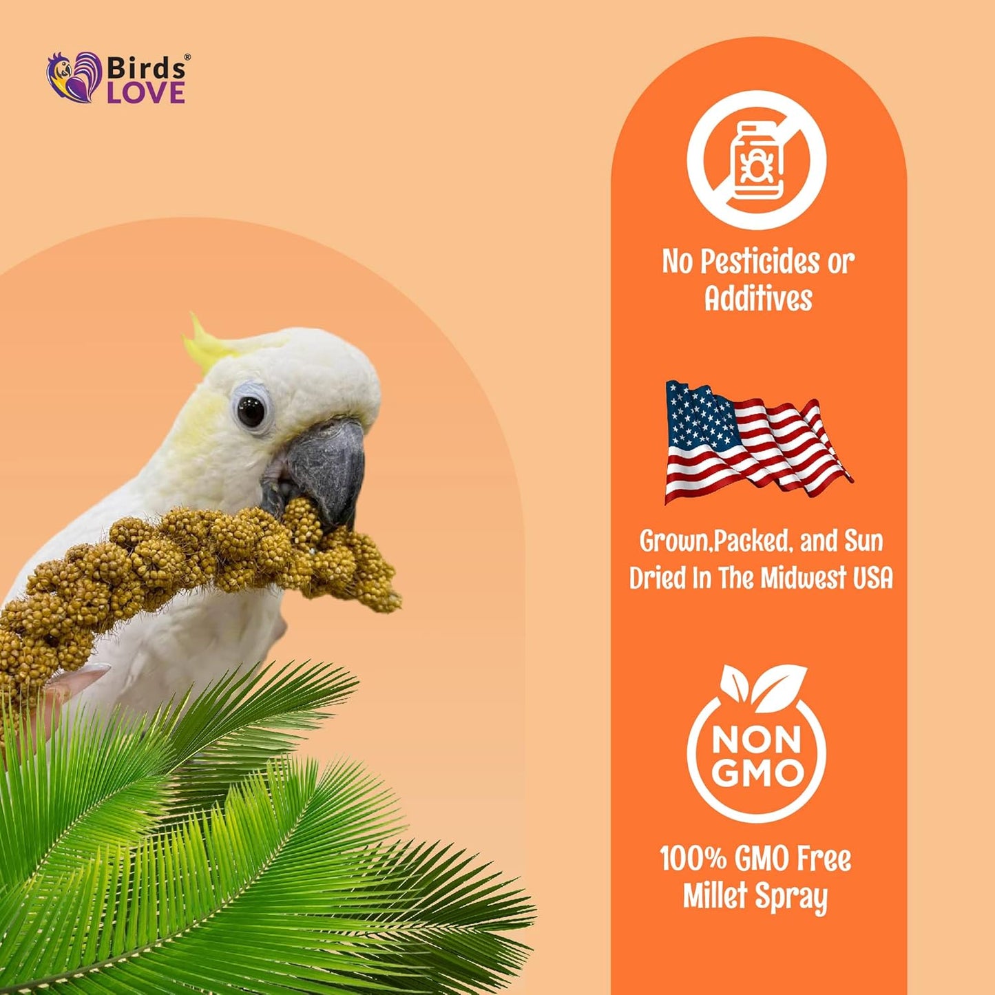 Birds LOVE Wholesome & Lovely Spray Millet - GMO Free (No Stems Only Edible Tops) for Parrots Cockatiel Lovebird Parakeet Finch Canary - Healthy Bird Treat