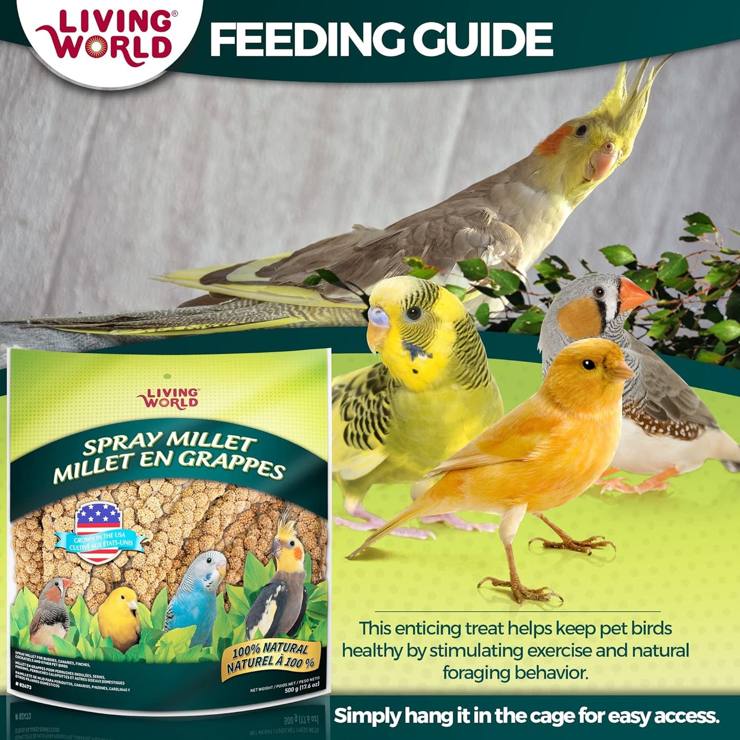 - Spray Millet, 17.6 Oz - Premium Treat for Budgies, Canaries, Finches, Cockatiels and Other Pet Birds