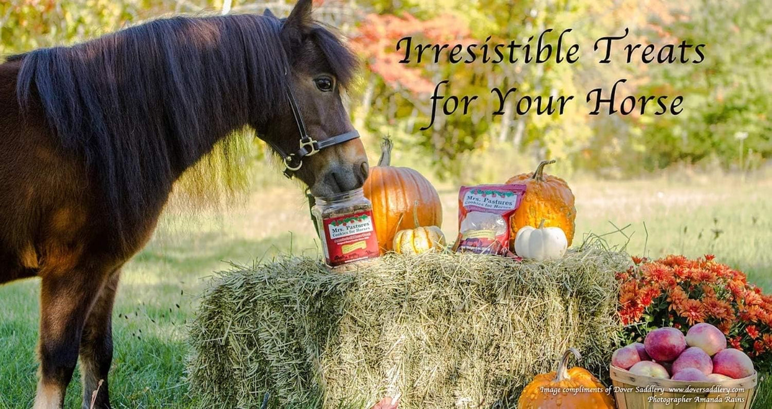 Horse Cookies & Treats - Premium All Natural Treats (5 Pound Bag)