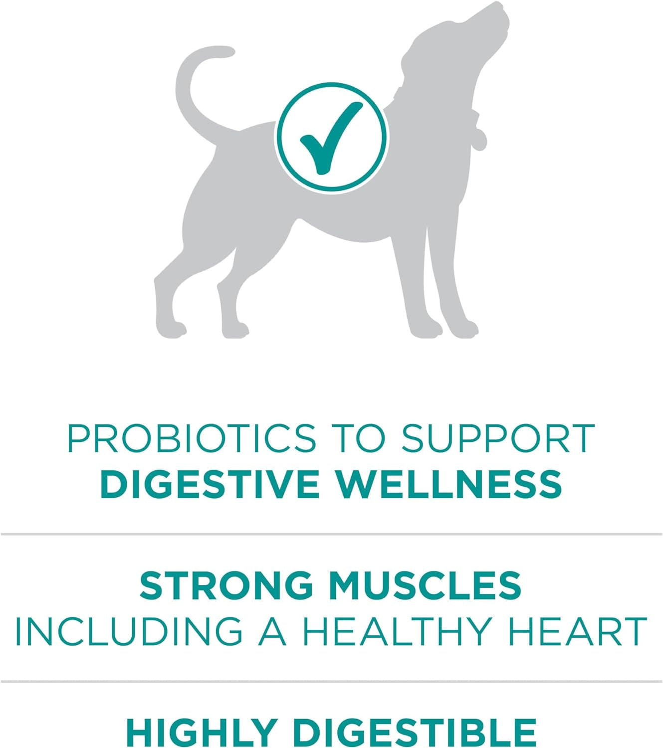 Purina One plus Digestive Health Formula Dry Dog Food Natural with Added Vitamins, Minerals and Nutrients