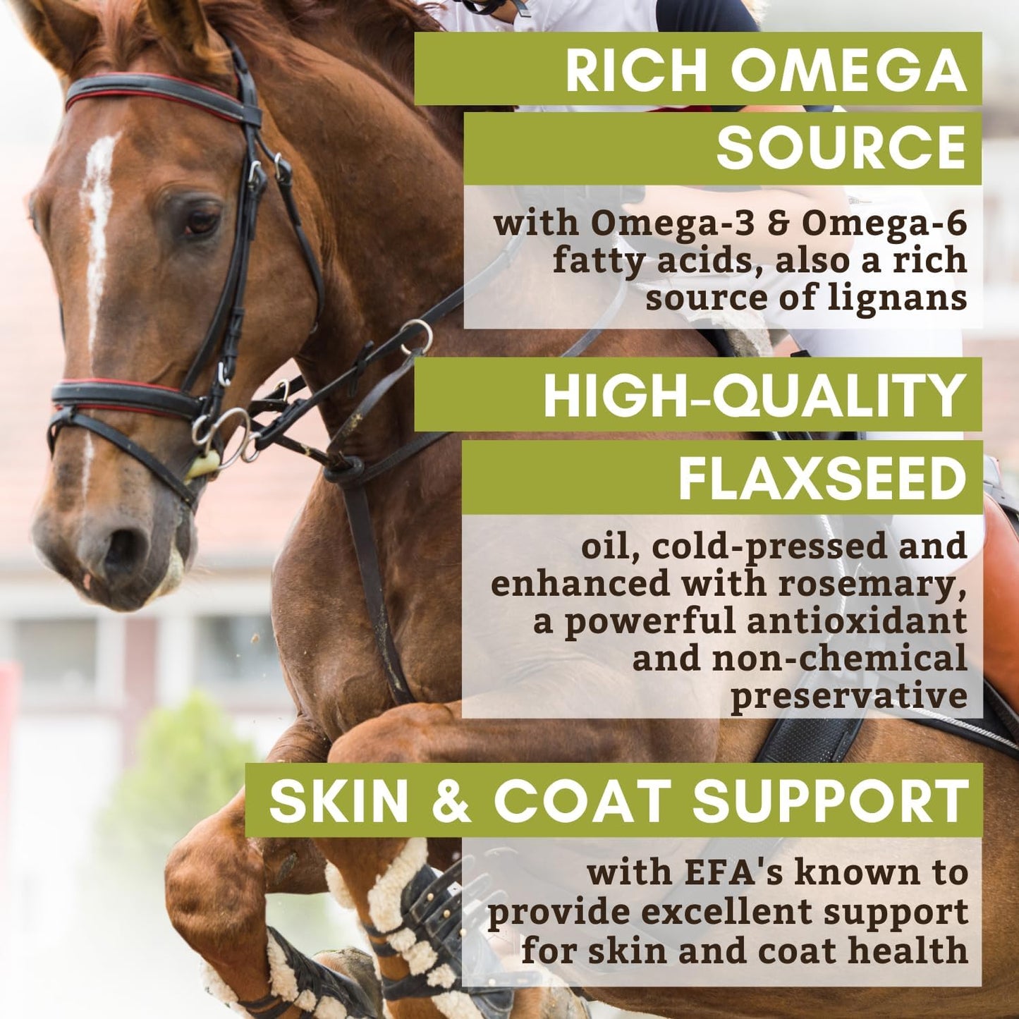 Wholistic Pet Organics Flaxseed Oil: Organic Flaxseed Oil for Horses -Flax Oil Horse Supplement with Antioxidant Rich Rosemary and Omega 3, 6 Fatty Acids for Cardio, Immune, Skin and Coat Health