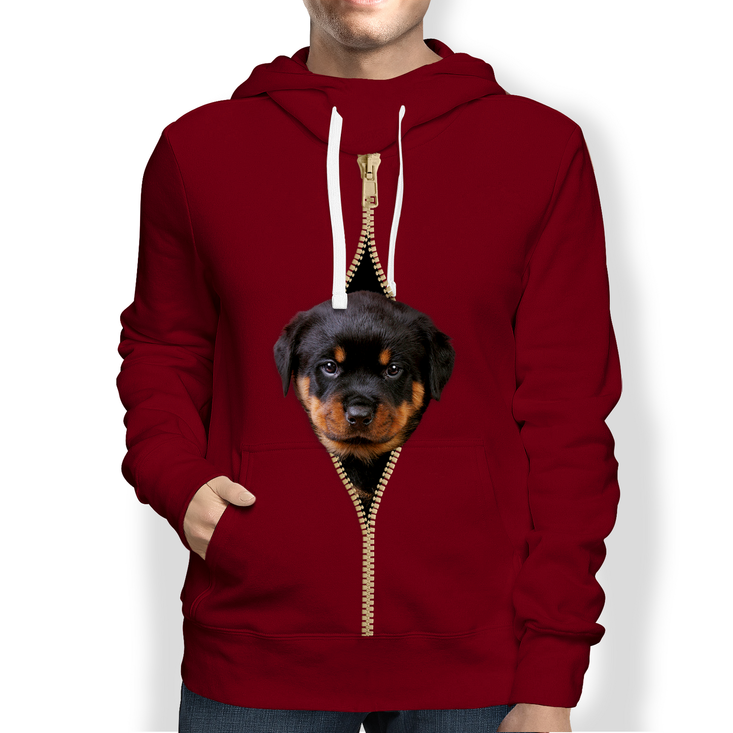 I'm With You - Havanese Hoodie V2