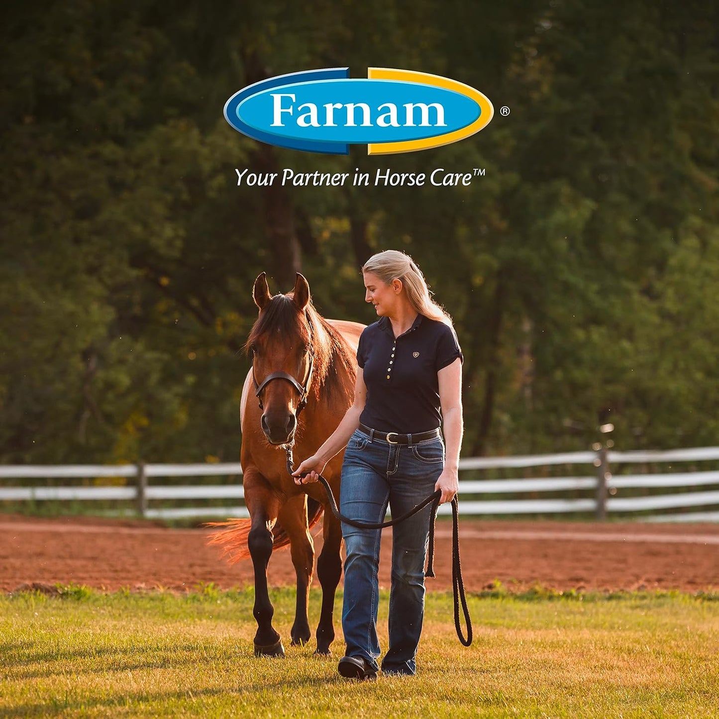 Farnam Endure Sweat-Resistant Horse Fly Spray, Kills, Repels, Protects, Quart Spray