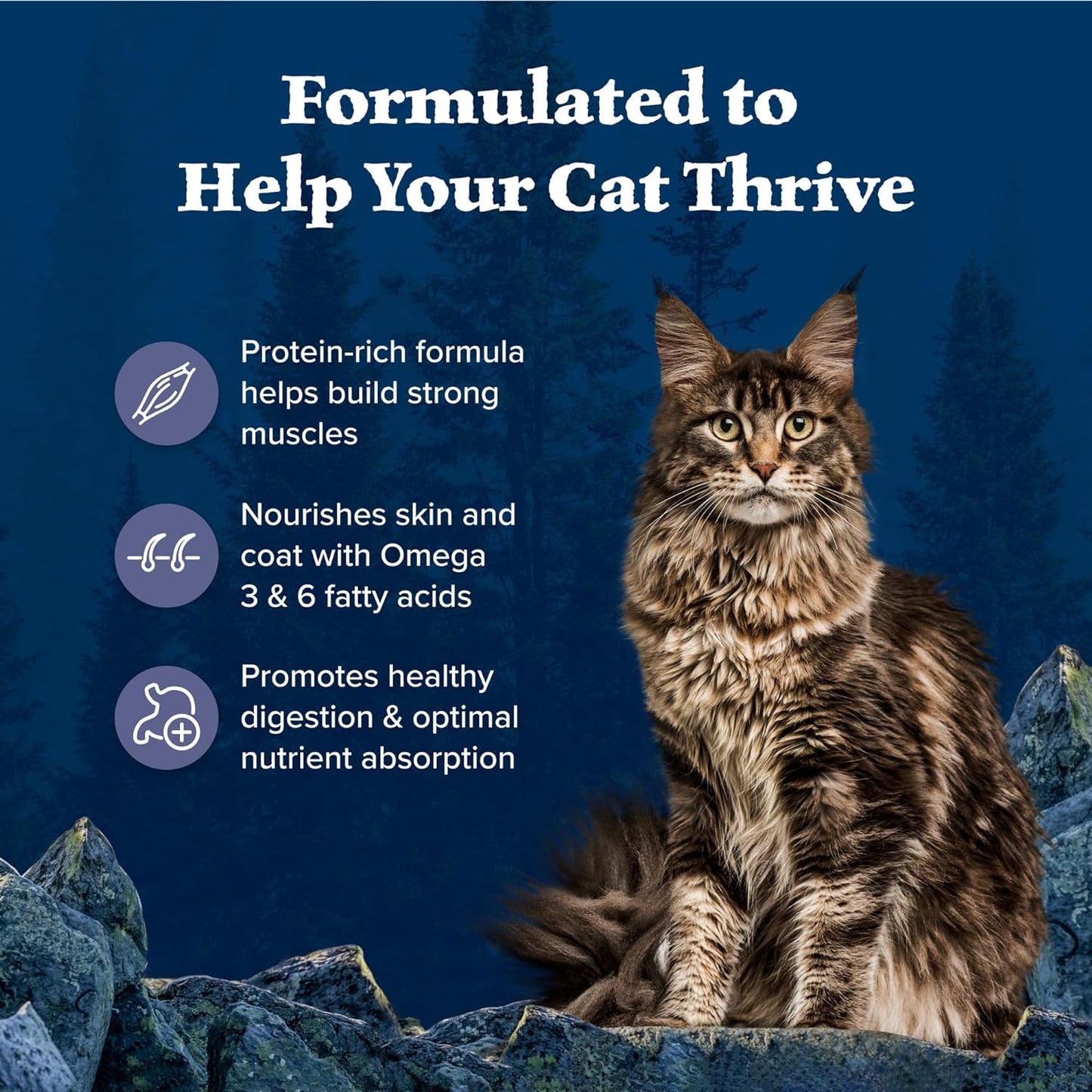 Blue Buffalo Wilderness Nature's Evolutionary Diet High-Protein, Grain-Free Natural Dry Food for Adult Cats, Chicken