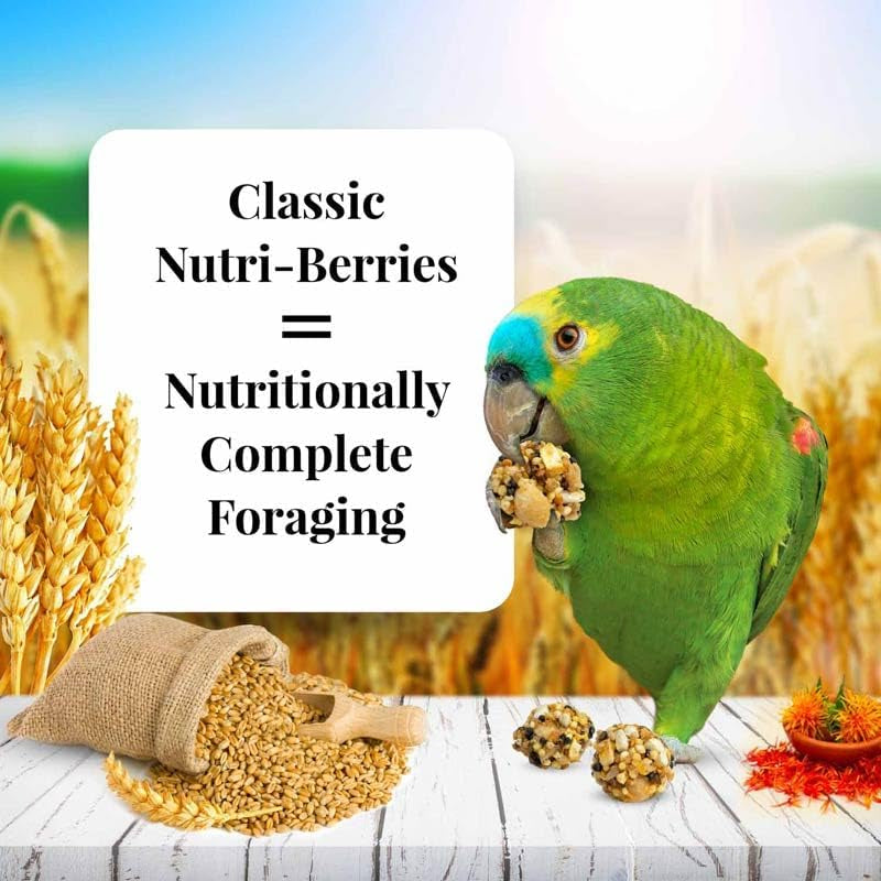 LAFEBER'S Classic Nutri-Berries Pet Bird Food, Made with Non-Gmo and Human-Grade Ingredients, for Parrots