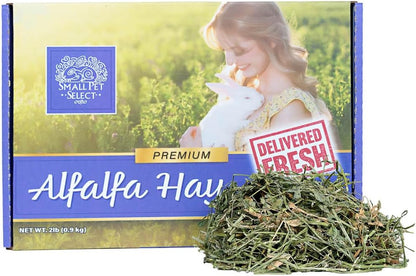 Small Pet Select Alfalfa Hay Pet Food for Young Rabbits, Guinea Pigs, Chinchillas, Tortoises and Other Small Animals, Easy to Store Box