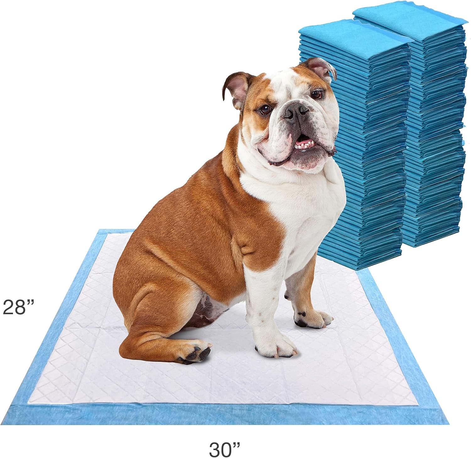 Four Paws Wee-Wee Odor Control with Febreze Freshness Pee Pads for Dogs of All Sizes, Leak-Proof Floor Protection Dog & Puppy Quilted Potty Training Pads, Spring Fresh Scent