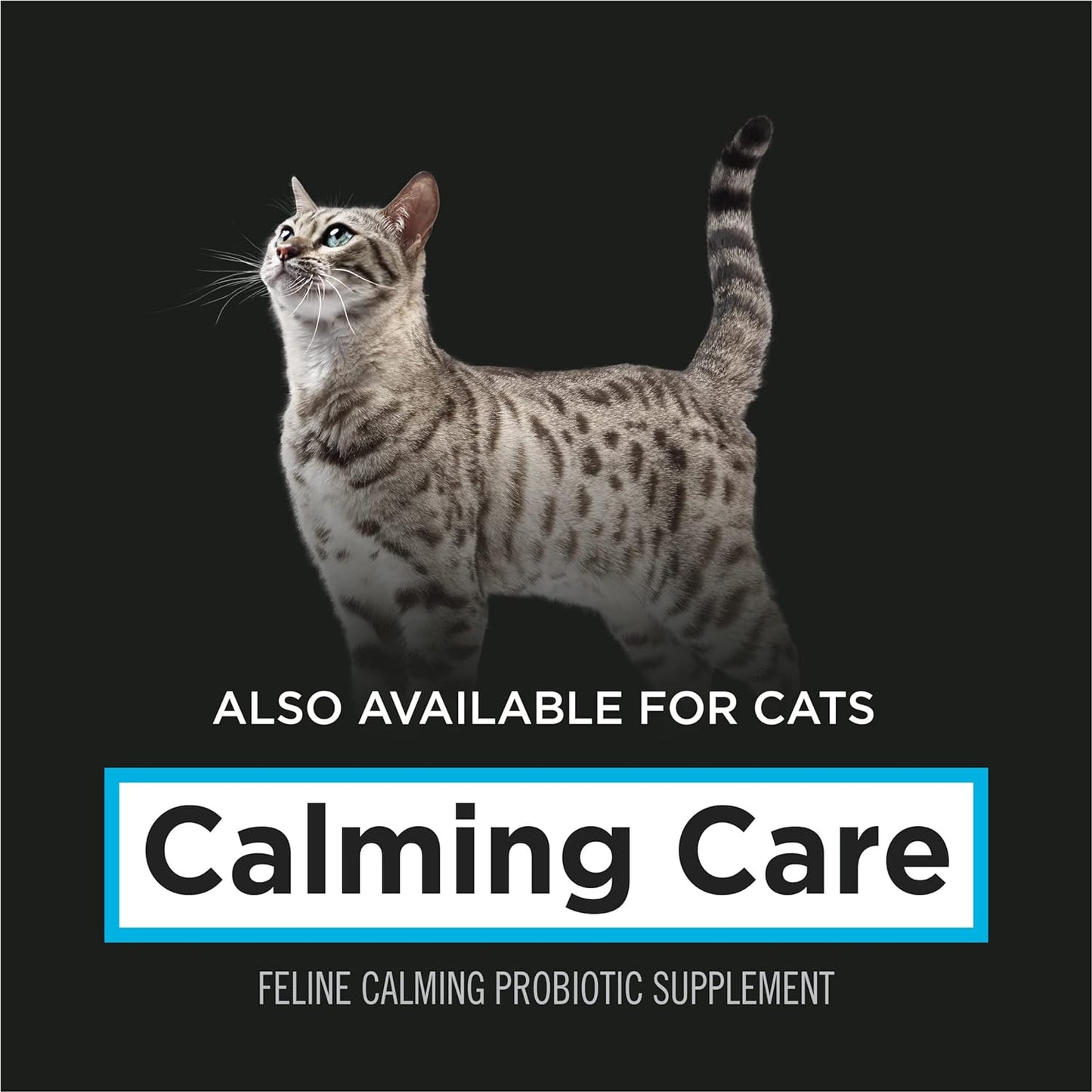 Purina Pro Plan Veterinary Supplements Calming Care - Calming Dog Supplements