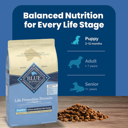 Blue Buffalo Life Protection Formula Puppy Dry Dog Food